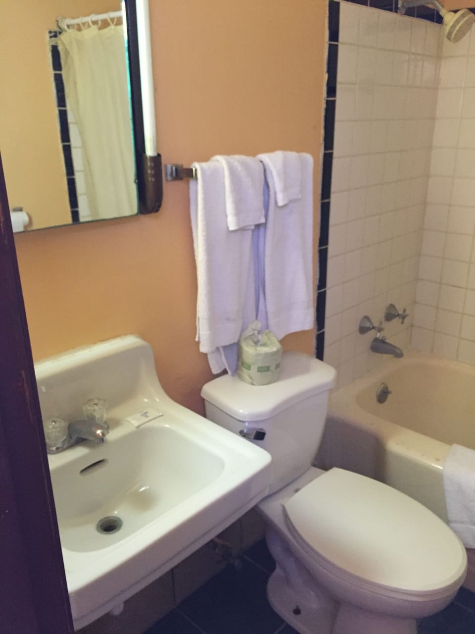 Combined shower/tub