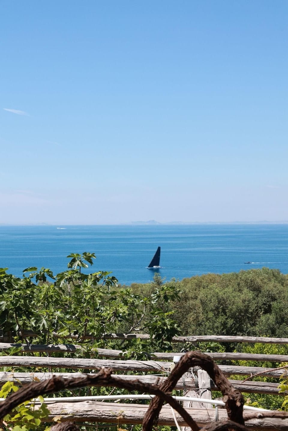 Villa Puolo - With Private Sea Access Bed and Breakfast in Sorrento