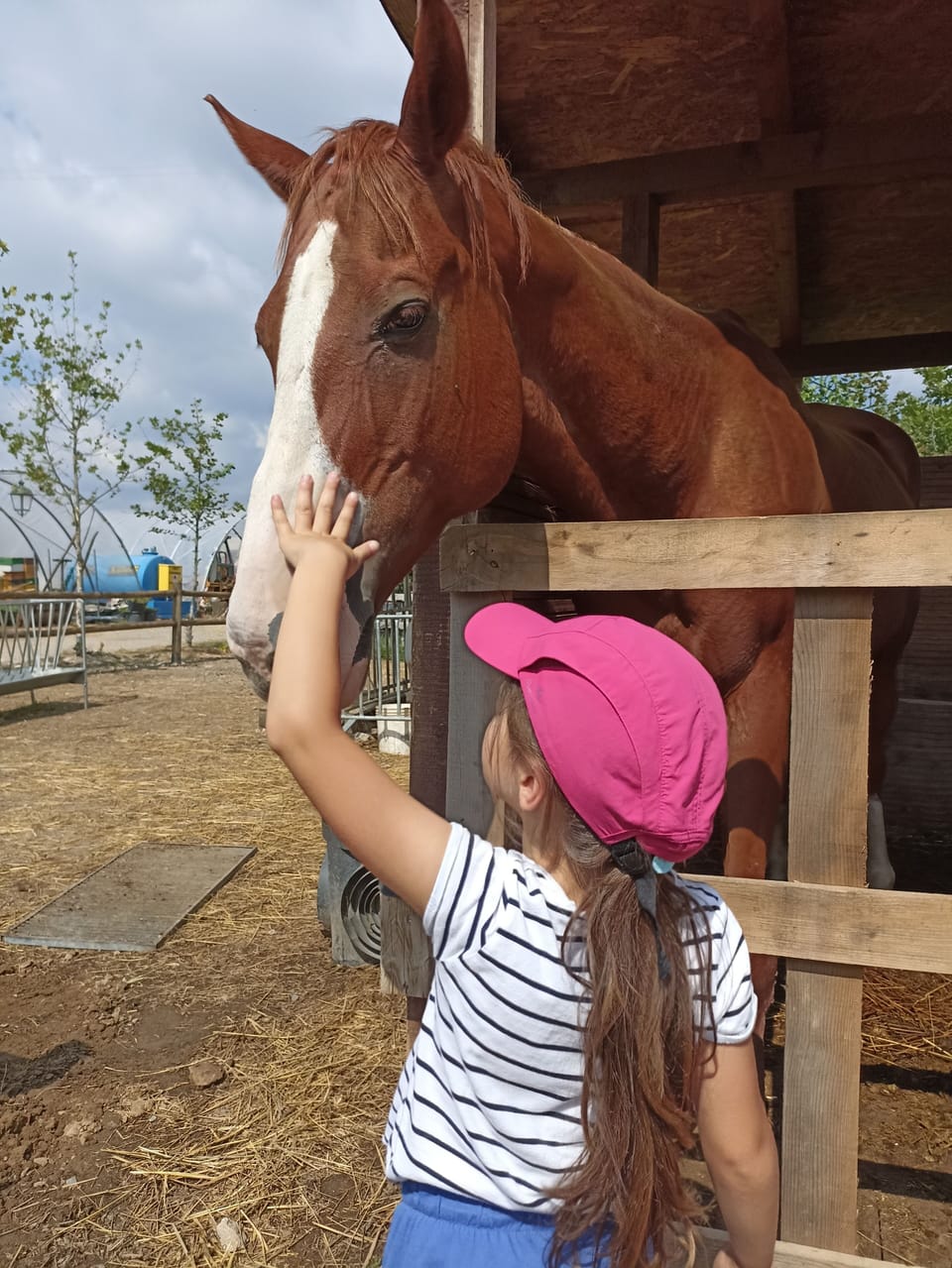 Children's activities