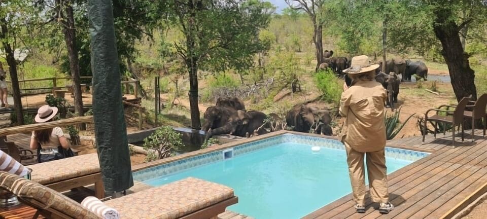 Outdoor pool