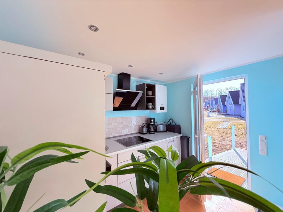 House | Private kitchen | Highchair