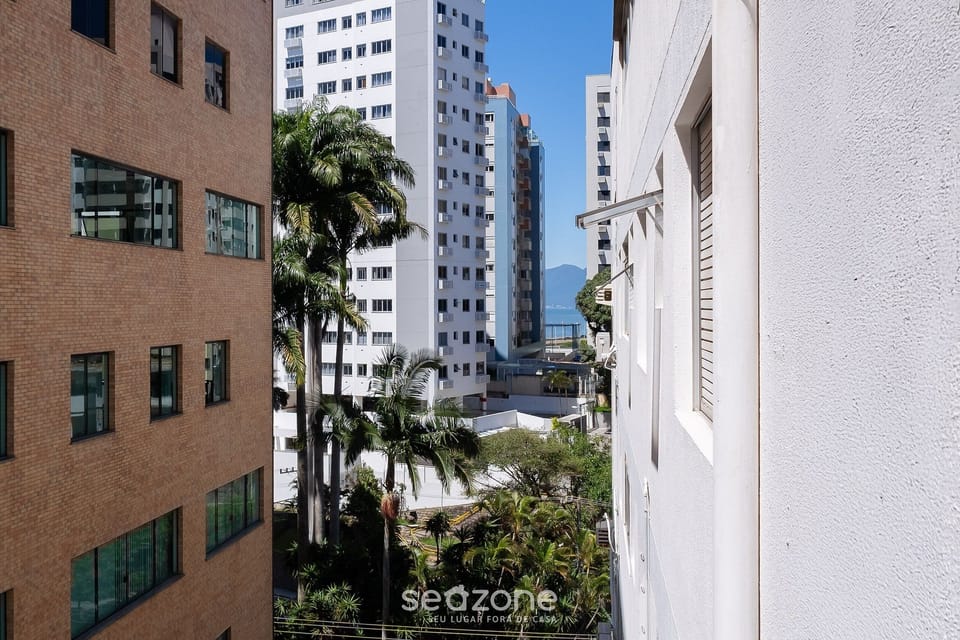 Basic Apartment | View from property