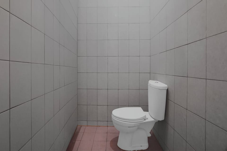 Deluxe Twin Room | Bathroom | Shower, towels, soap, shampoo