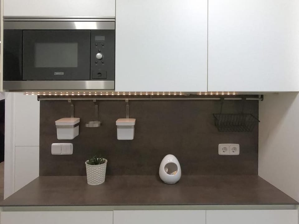 Deluxe Apartment | Private kitchen