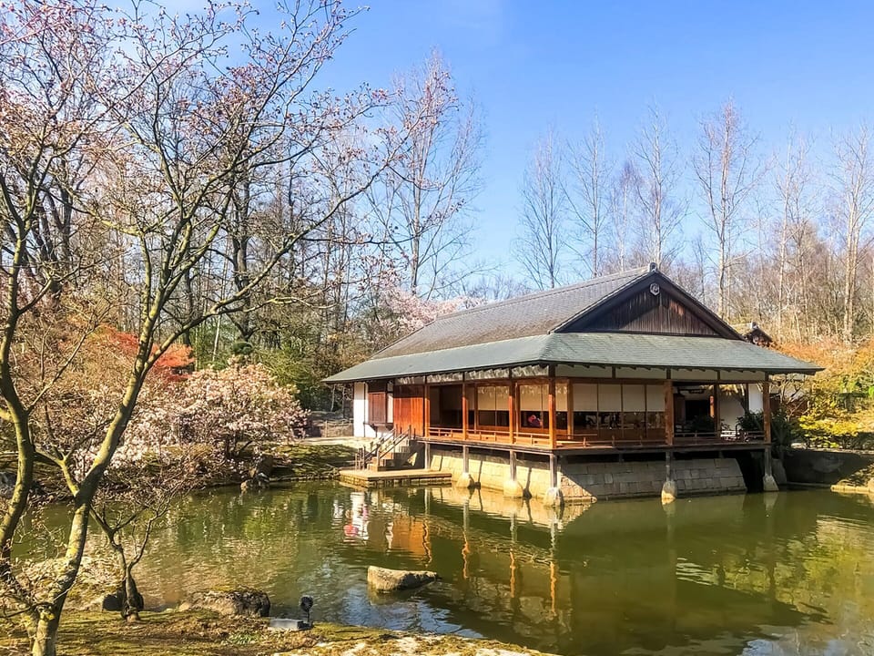 House | View from property