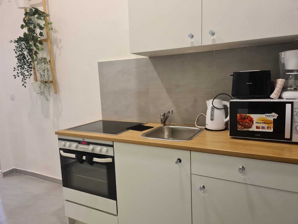 Basic Apartment | Private kitchen | Fridge, microwave, oven, stovetop