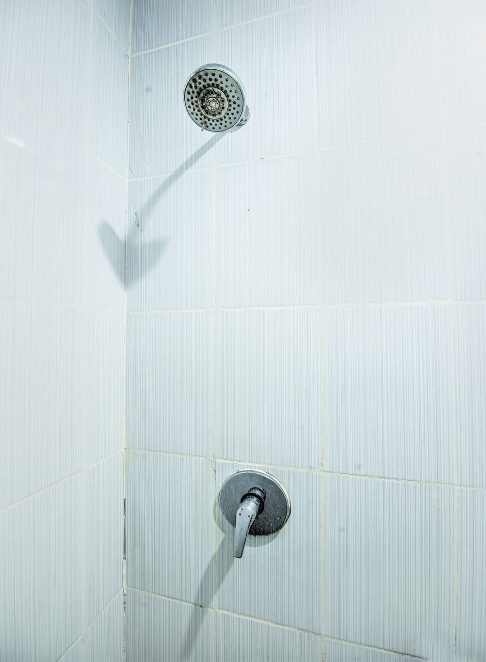 Shower, free toiletries, towels, soap