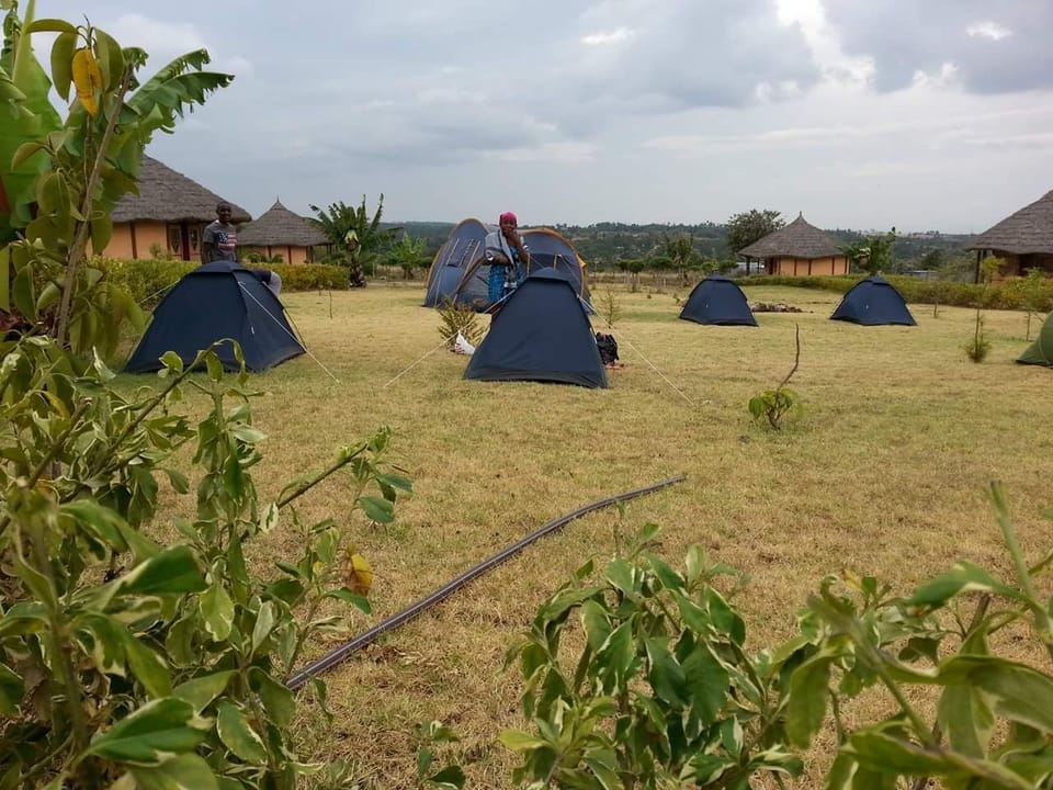 Deluxe Tent, Garden View