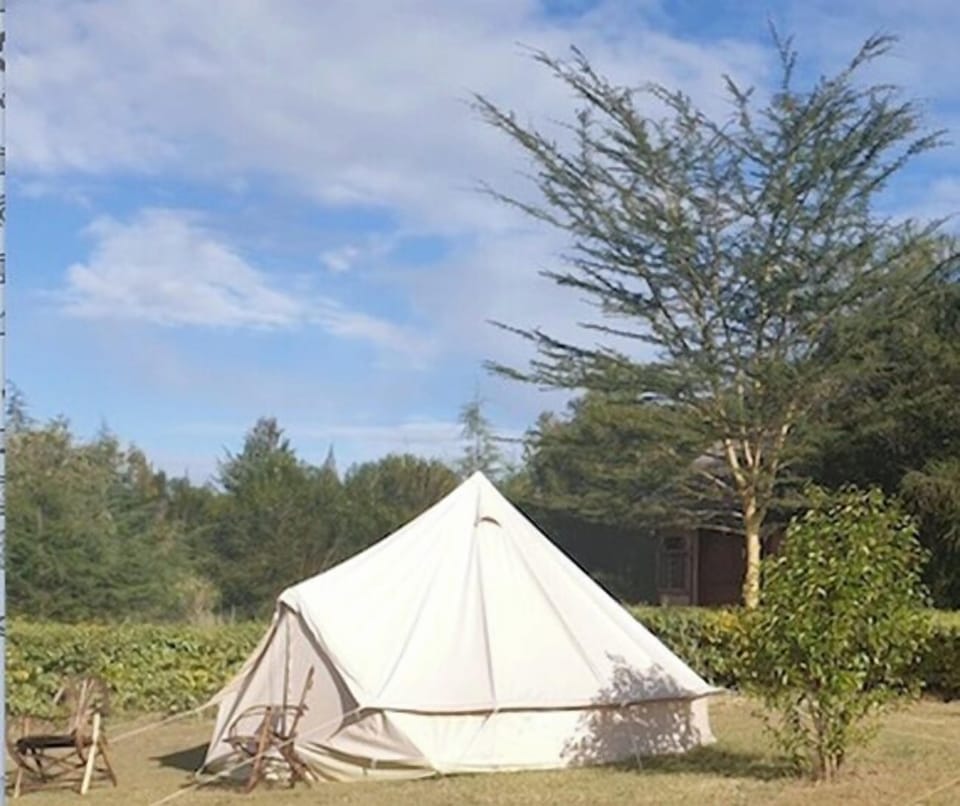 Traditional Tent