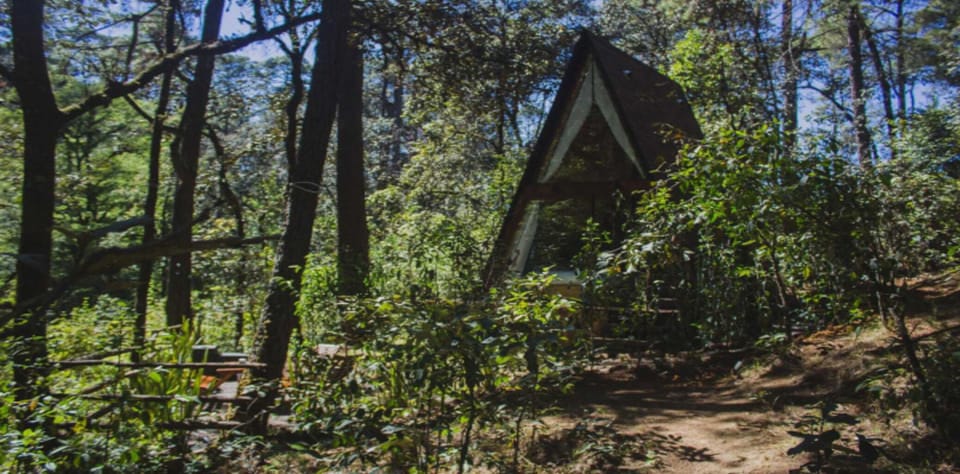 Classic Cabin, Mountain View | Living area