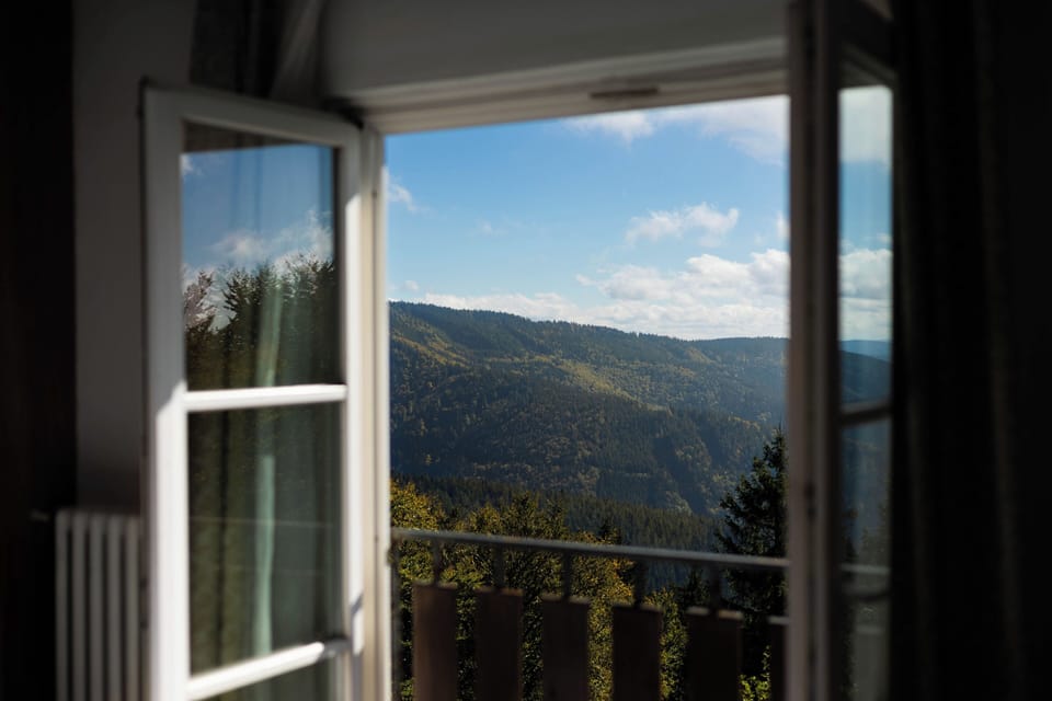View from room