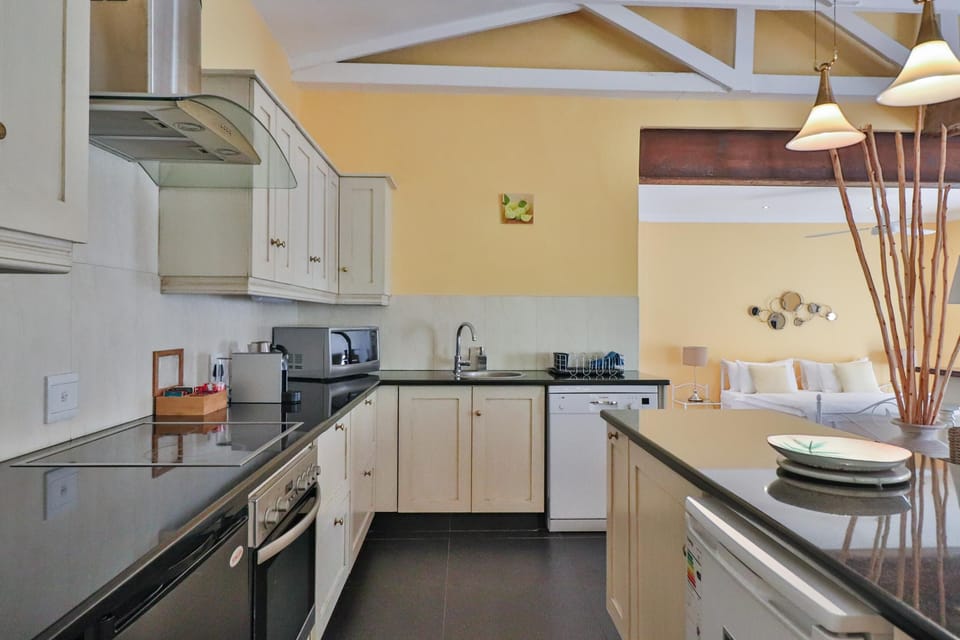 Deluxe Apartment, 1 Bedroom, Fireplace, Partial Sea View | Private kitchen