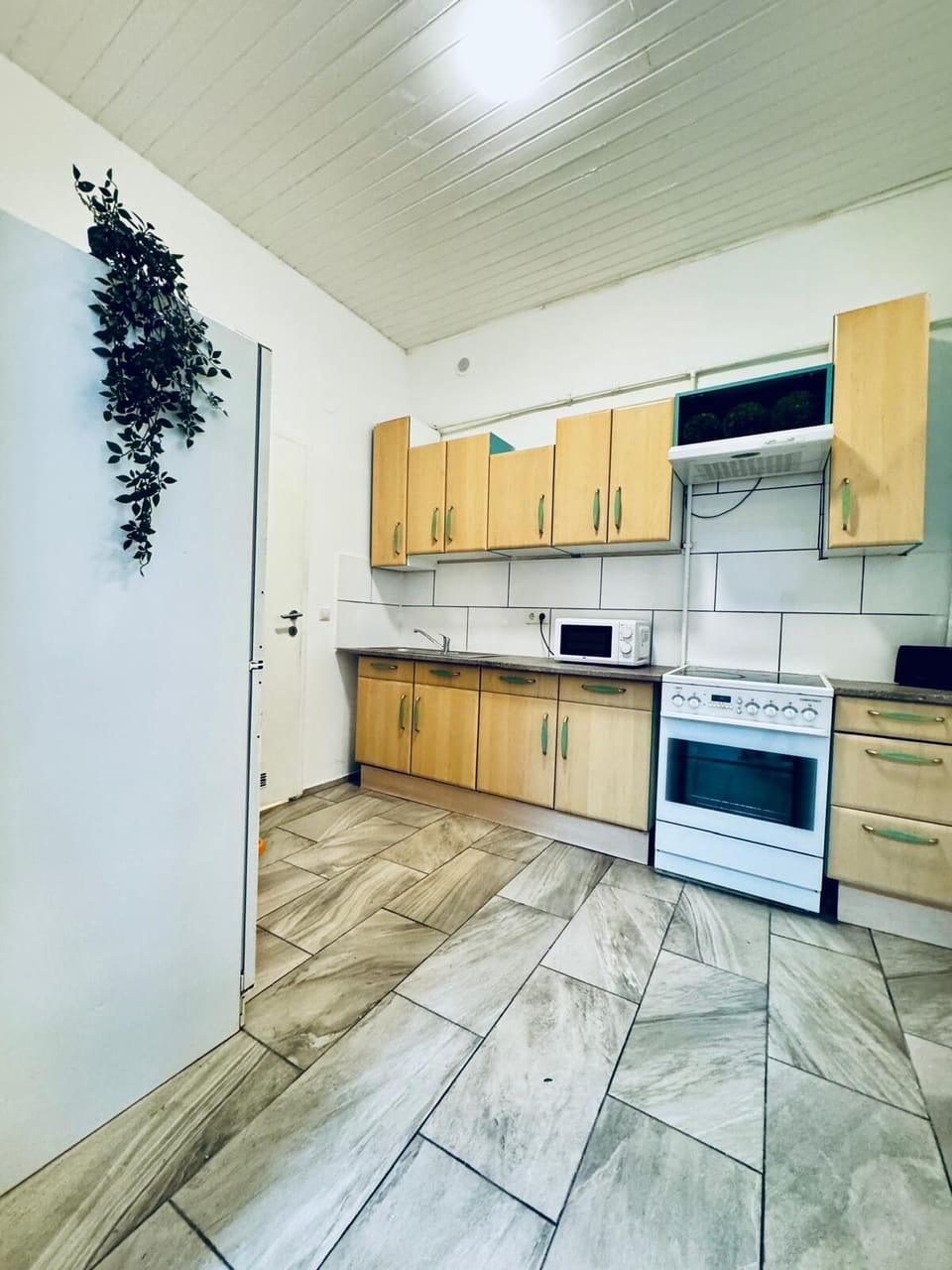 Basic Studio | Private kitchen | Fridge, microwave, stovetop, cookware/dishes/utensils