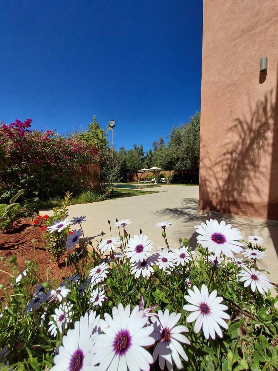 Family Villa, Patio, Garden View | Garden view