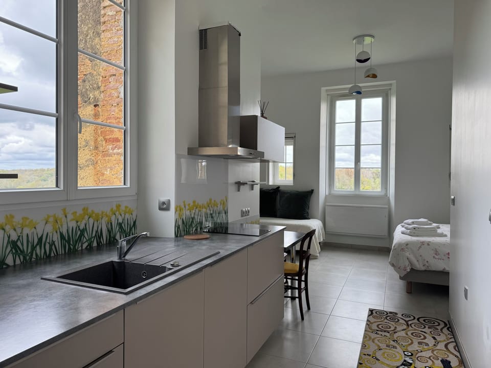 Grand Studio, Non Smoking, Hill View | Private kitchen | Coffee/tea maker, electric kettle, highchair, paper towels