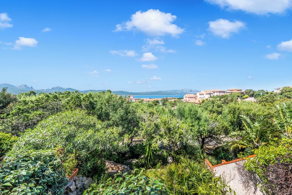 Family Apartment, 2 Bedrooms, Terrace (Aironi 34) | Miscellaneous