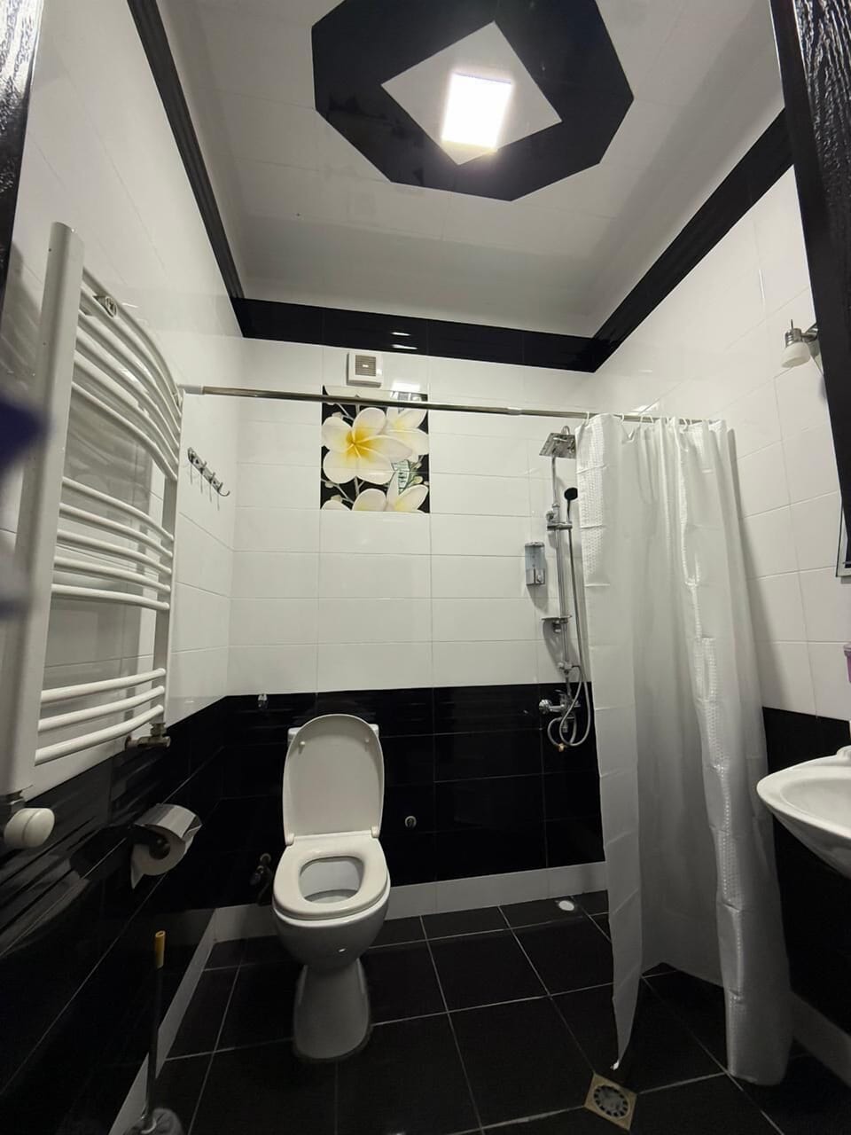 Shower, rainfall showerhead, designer toiletries, hair dryer