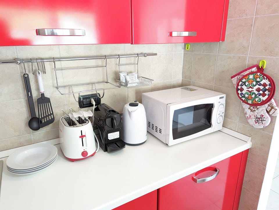 Apartment, Mountain View | Private kitchen | Full-size fridge, microwave, oven, stovetop