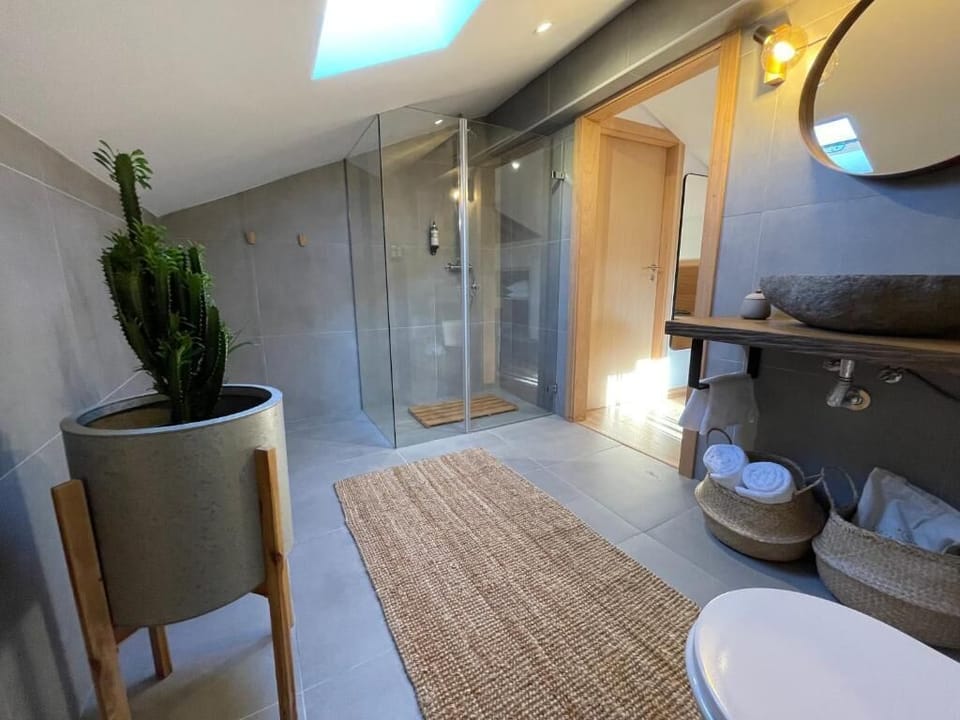 Comfort Double Room, Mountain View | Bathroom | Shower, hair dryer, towels, soap