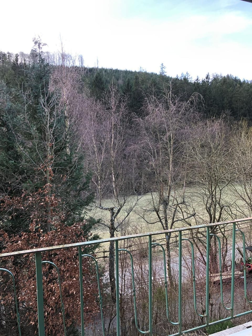 View from room