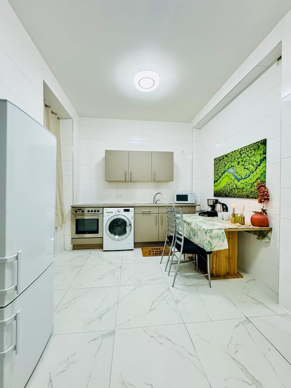 Basic Apartment | Private kitchen | Fridge, microwave, oven, stovetop