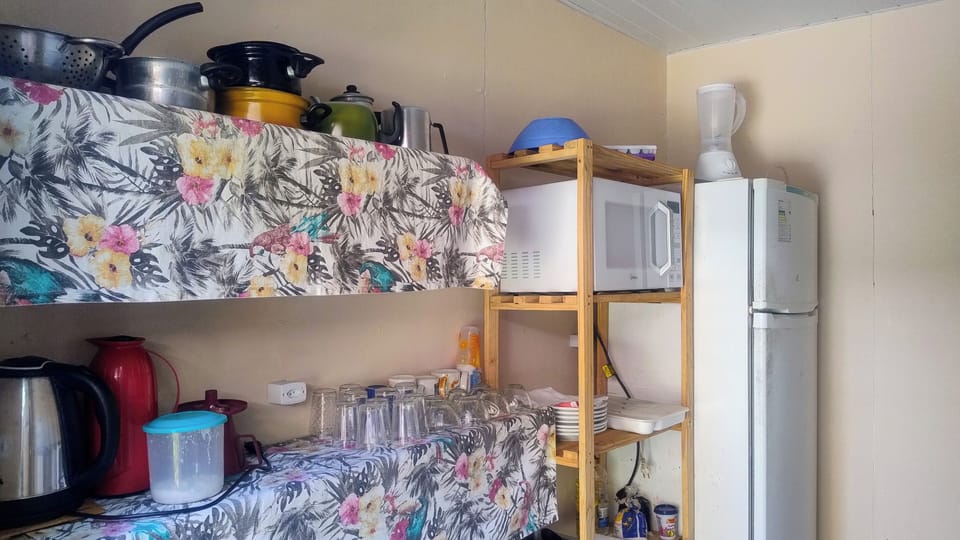 Full-size fridge, microwave, oven, blender