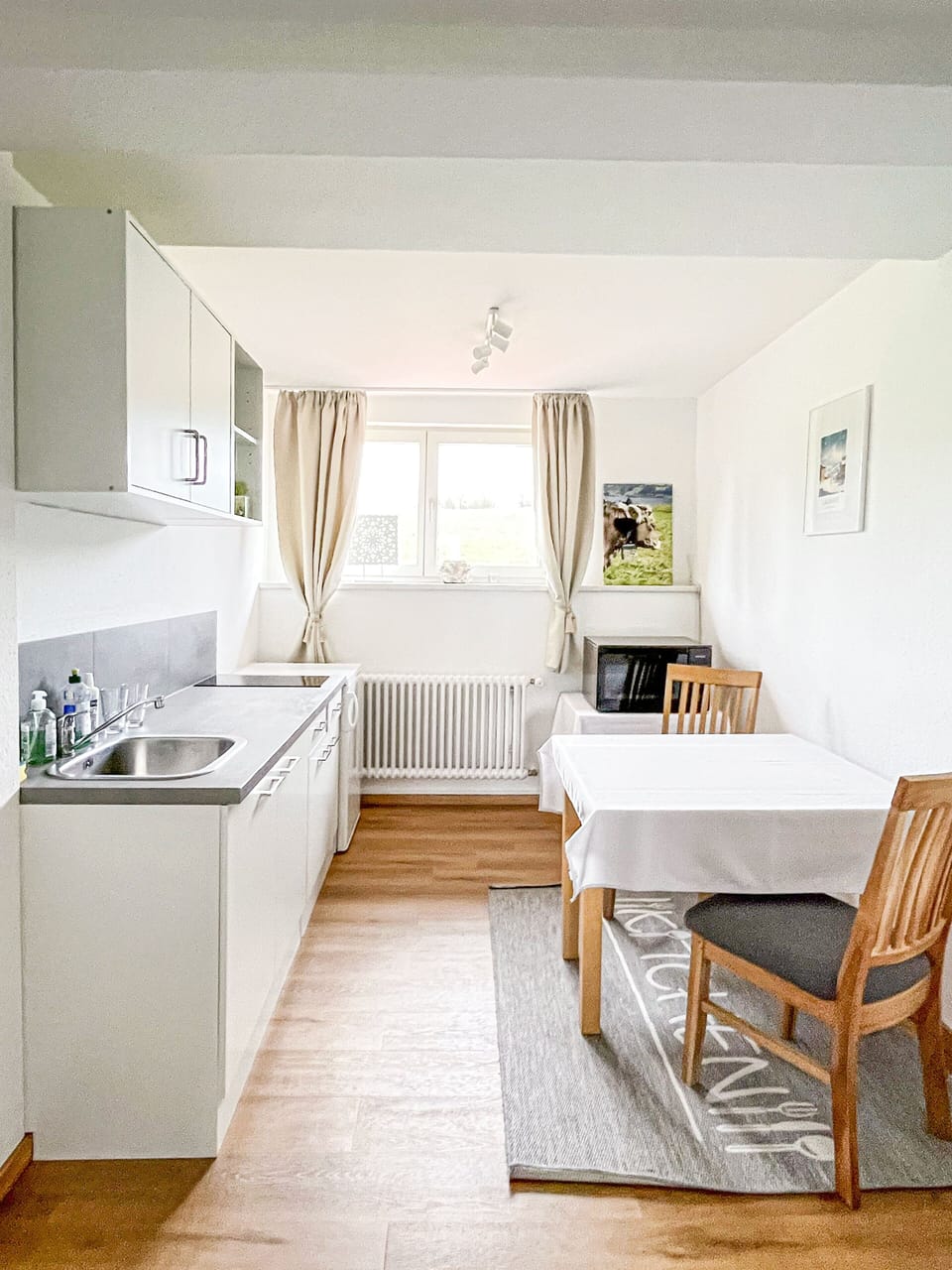 Classic Suite, 1 Double Bed, Kitchenette | Private kitchen | Highchair