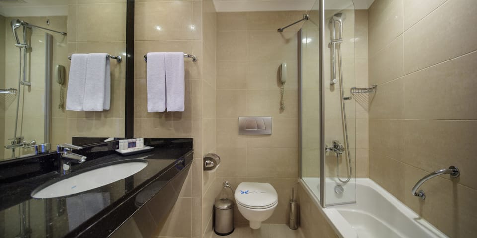Combined shower/tub, free toiletries, hair dryer, bathrobes