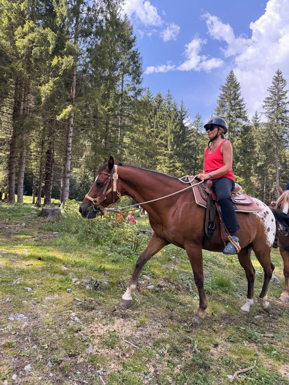 Horseback riding