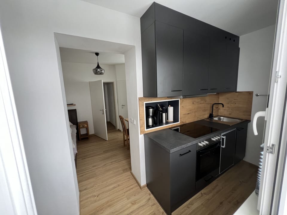 One-Bedroom Apartment Hochwurzen  | Private kitchenette | Full-size fridge, oven, stovetop, dishwasher