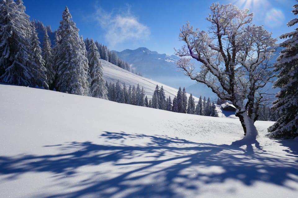 Snow and ski sports