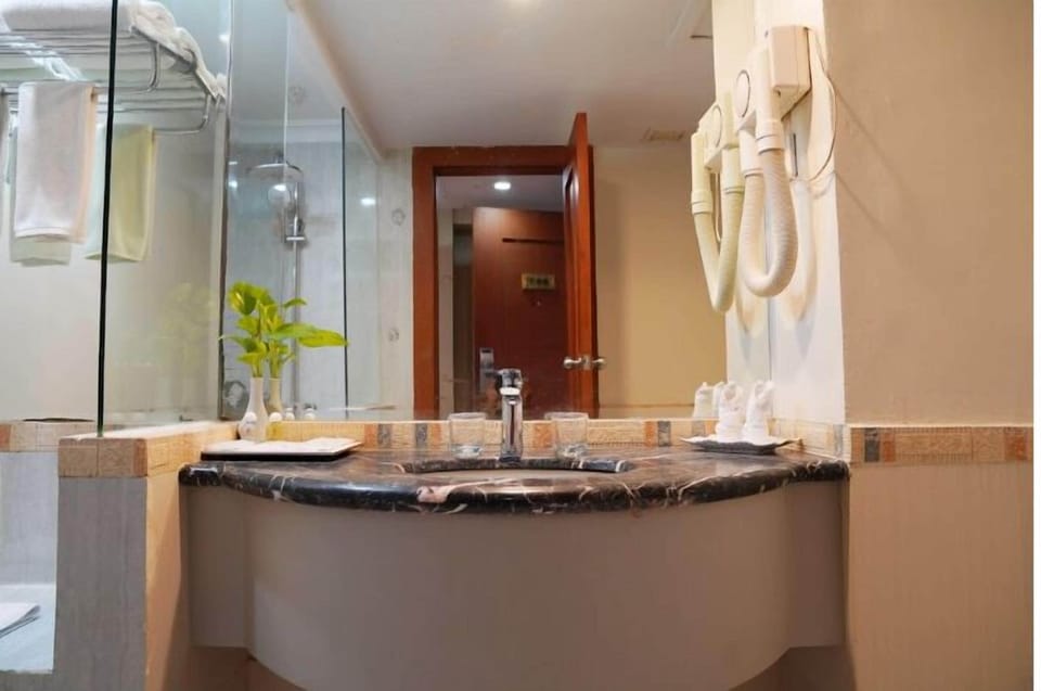 Deluxe Room | Bathroom | Shower, free toiletries, towels