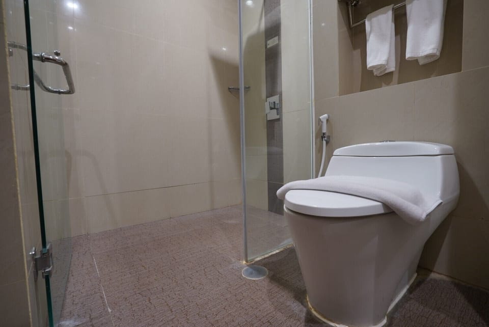 Shower, free toiletries, slippers, bidet