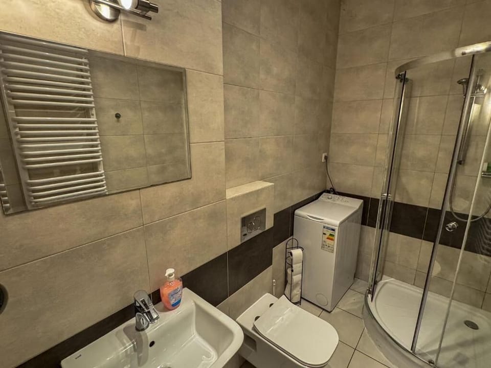Classic Apartment | Bathroom | Hair dryer, towels, soap, toilet paper