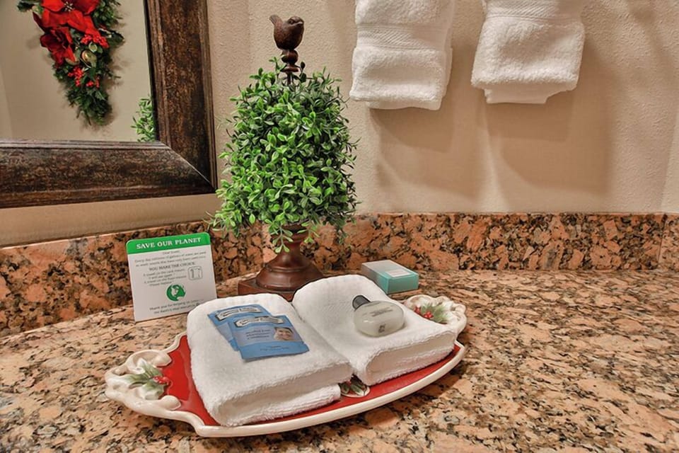 Combined shower/tub, hair dryer, towels