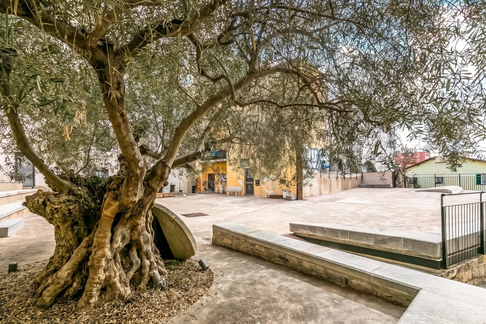 Standard Apartment, 1 Bedroom, Microwave (Casa di Lilo Sanremo Historic Center) | Property grounds