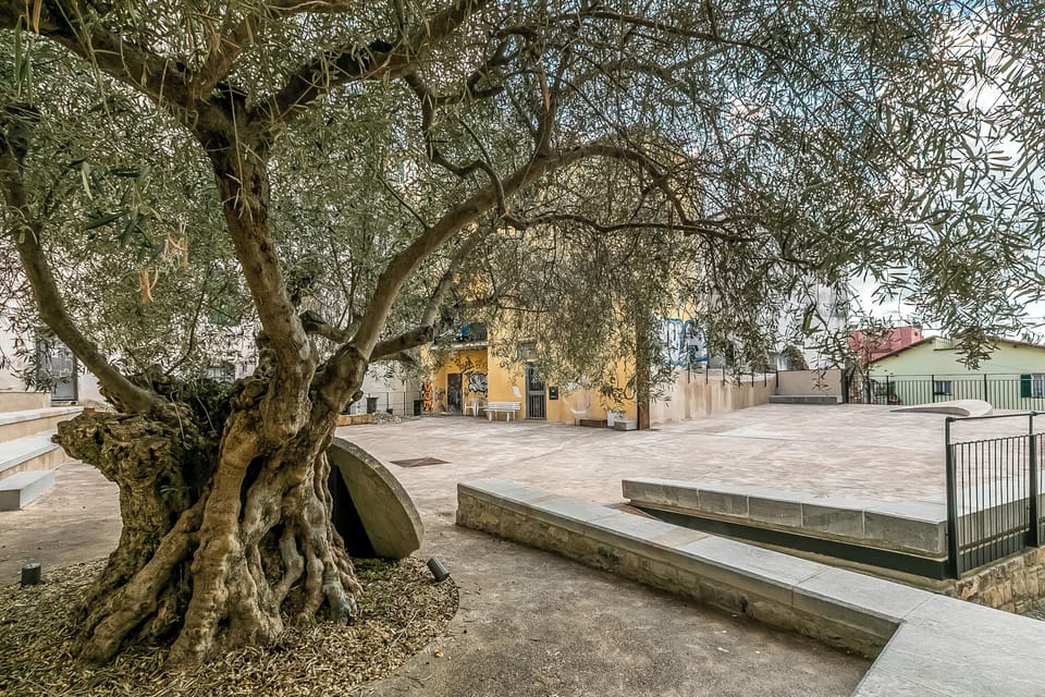 Standard Apartment, 1 Bedroom, Microwave (Casa di Lilo) | Property grounds