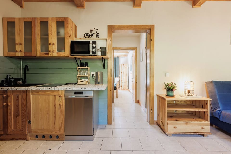 Apartment with balcony C3 | Private kitchen | Fridge, microwave, stovetop, dishwasher