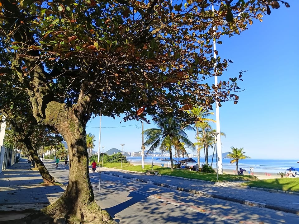 Beach nearby, white sand, beach shuttle, beach volleyball
