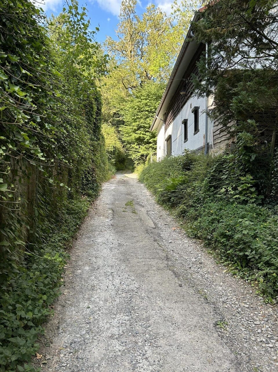 House | View from property