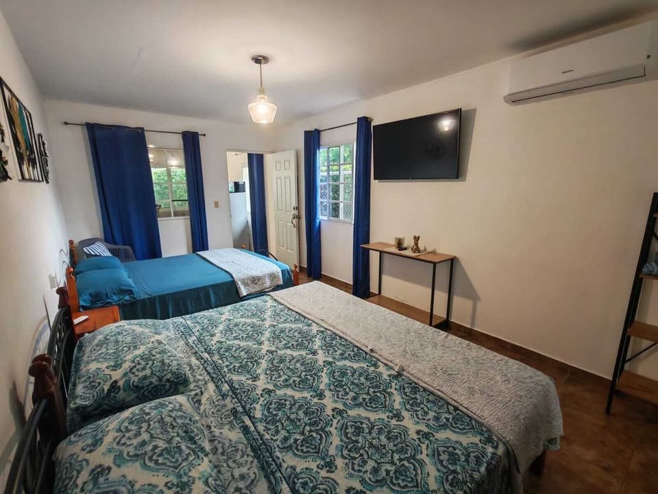 Apartment, Garden View, Garden Area | Minibar, desk, blackout drapes, WiFi (free)