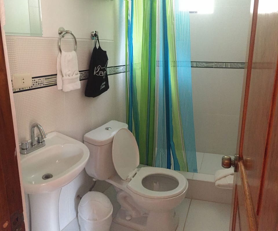 Twin Room | Bathroom | Shower, free toiletries, towels