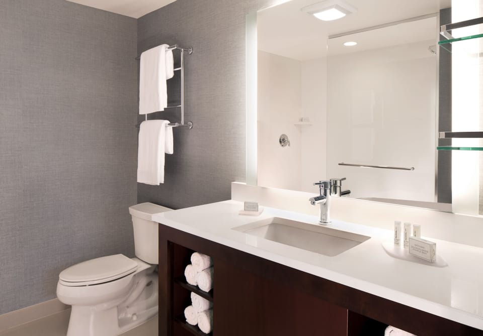 Combined shower/tub, free toiletries, hair dryer, towels