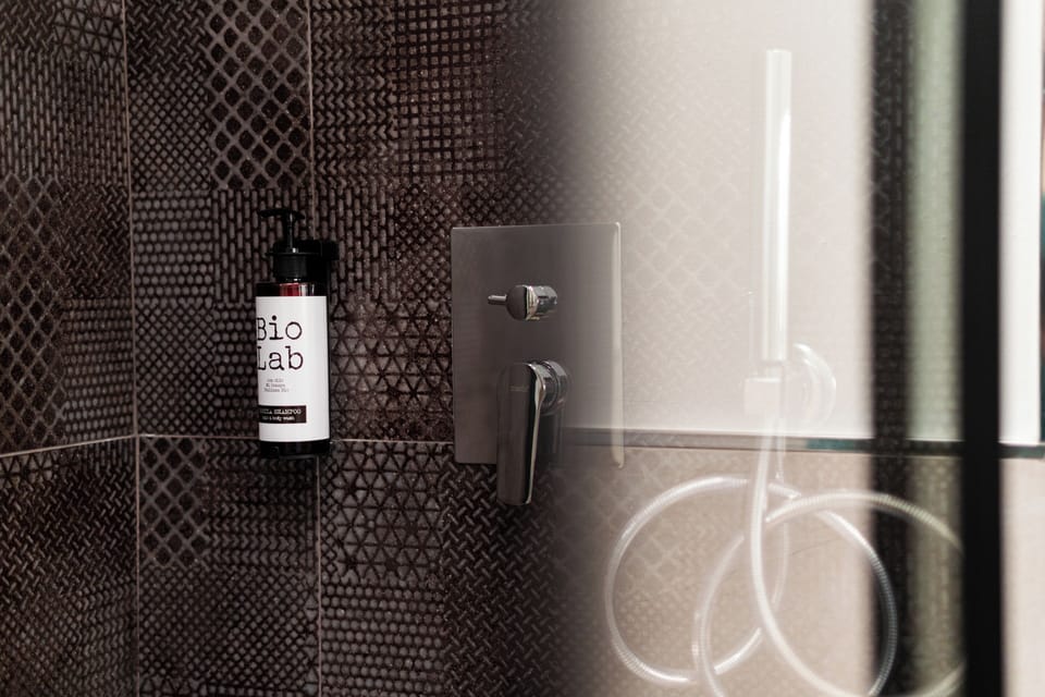Deluxe Room | Bathroom amenities | Hair dryer, towels, soap, shampoo