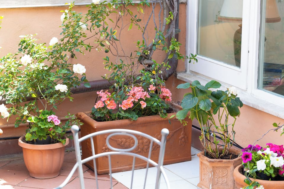 Apartment | Terrace/patio