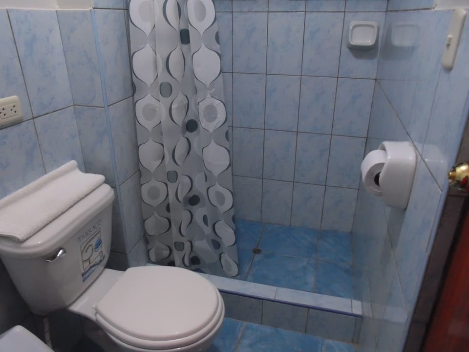 Family Room | Bathroom | Shower