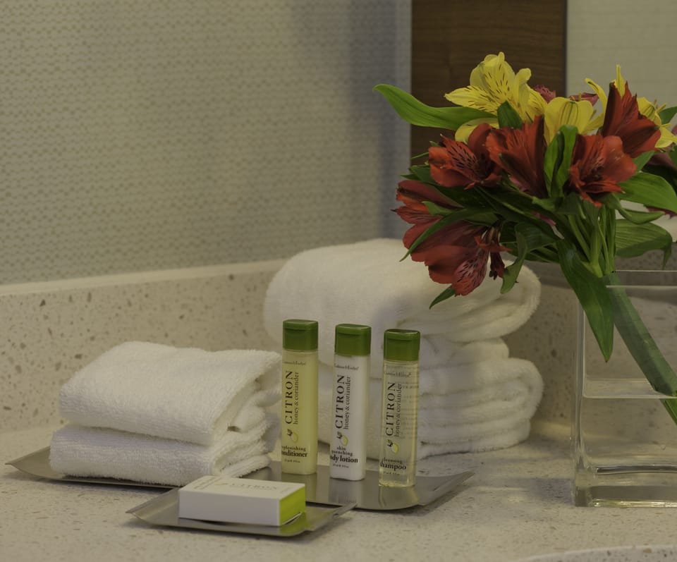Combined shower/tub, eco-friendly toiletries, hair dryer, towels