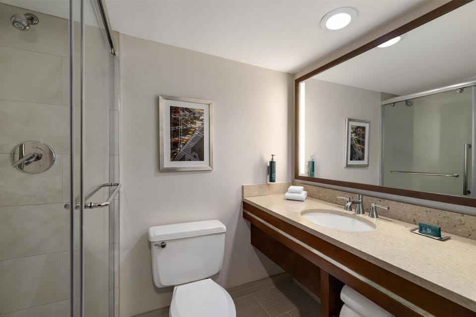 Room, 1 King Bed | Bathroom | Combined shower/tub, eco-friendly toiletries, hair dryer, towels