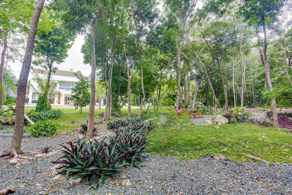 House | 6 bedrooms, Internet