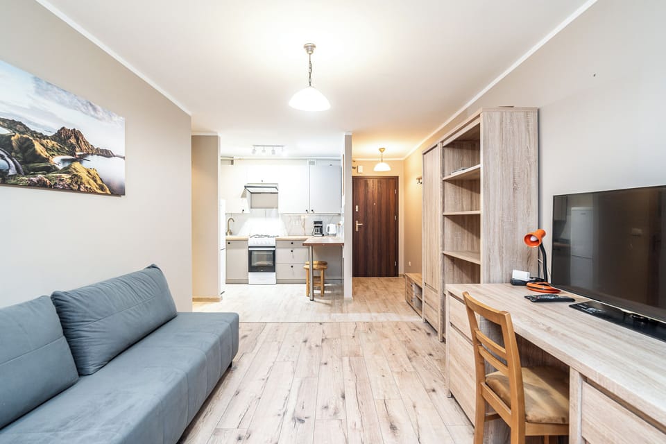 Apartment | Living room | 37-inch flat-screen TV with cable channels